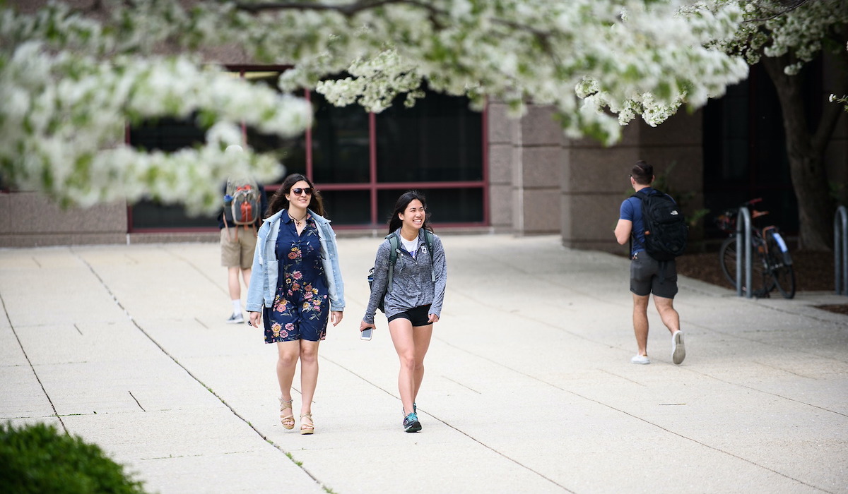 Girls walking under white blossom trees